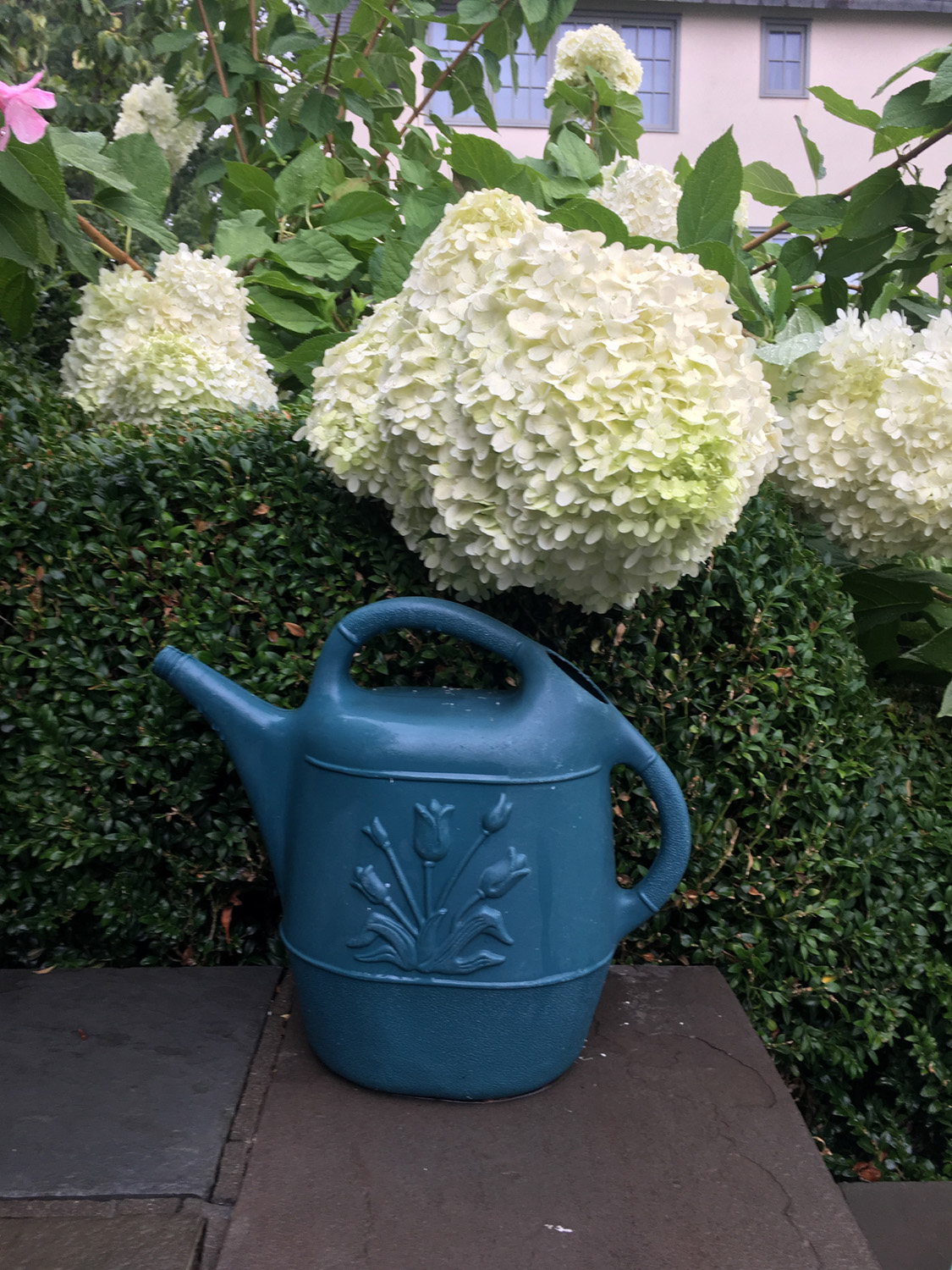 watering_can_09